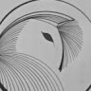 Meet your Posher, Tori